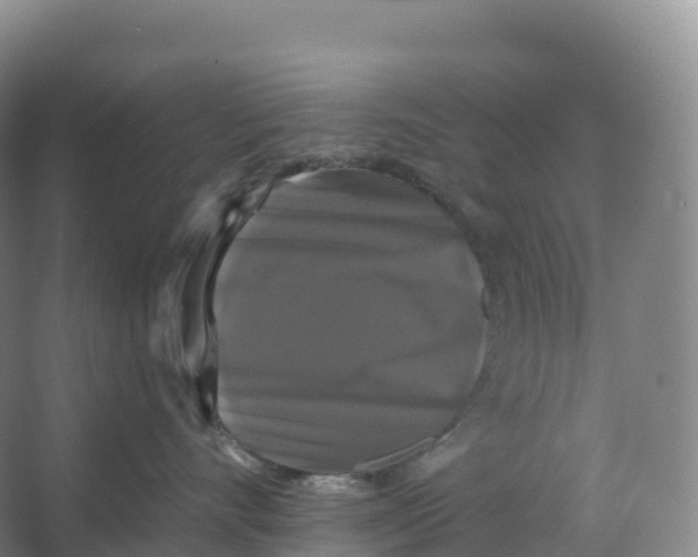 X0000066970528200604142144