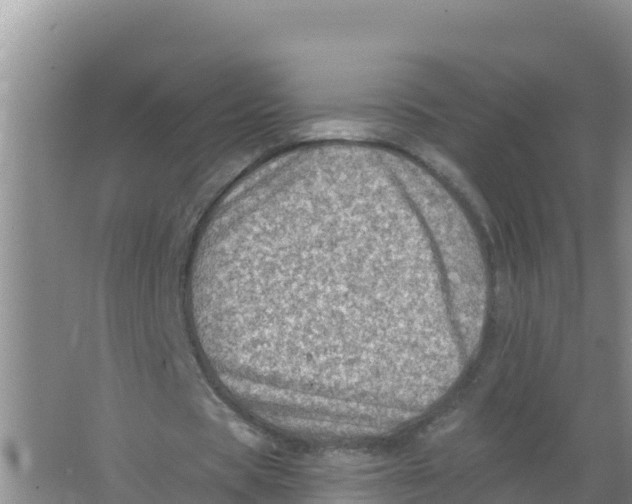 X0000066970529200604142143