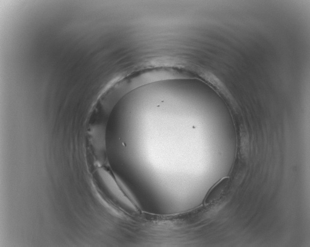 X0000066970530200604142143