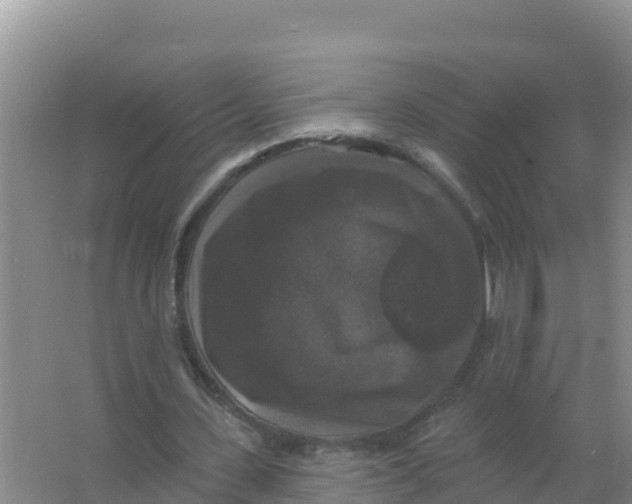 X0000066970531200604142143