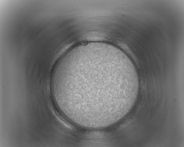 X0000066970533200604142143