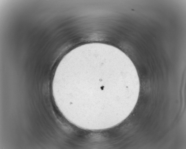 X0000066970534200604142143