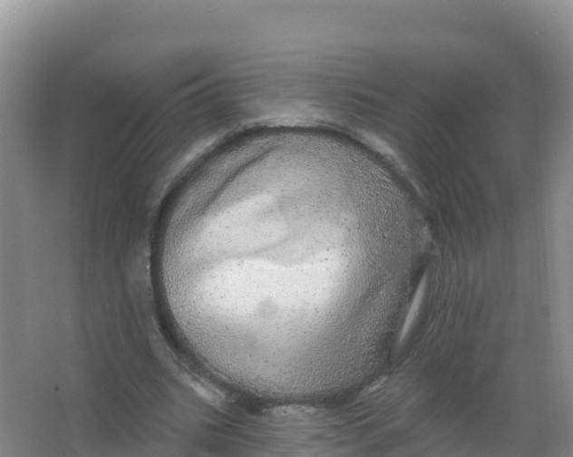 X0000066970535200604142143