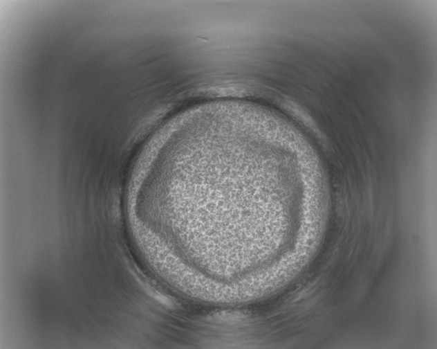 X0000066970537200604142143