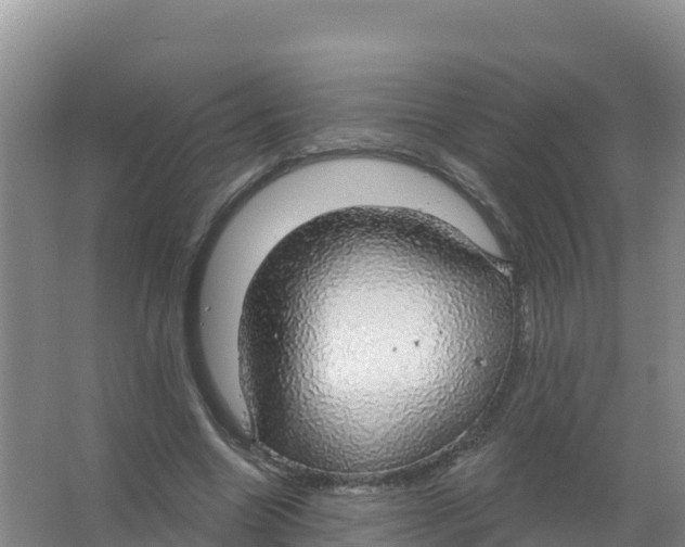 X0000066970538200604142143