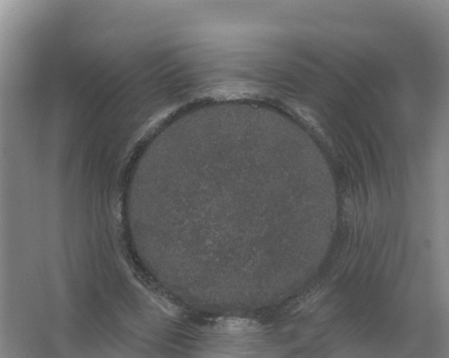 X0000066970539200604142143