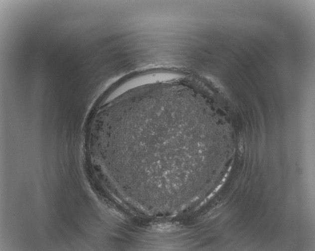 X0000066970540200604142143