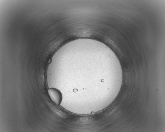 X0000066970541200604142143