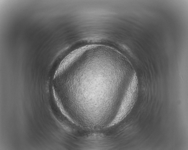 X0000066970543200604142143