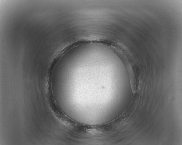 X0000066970544200604142143