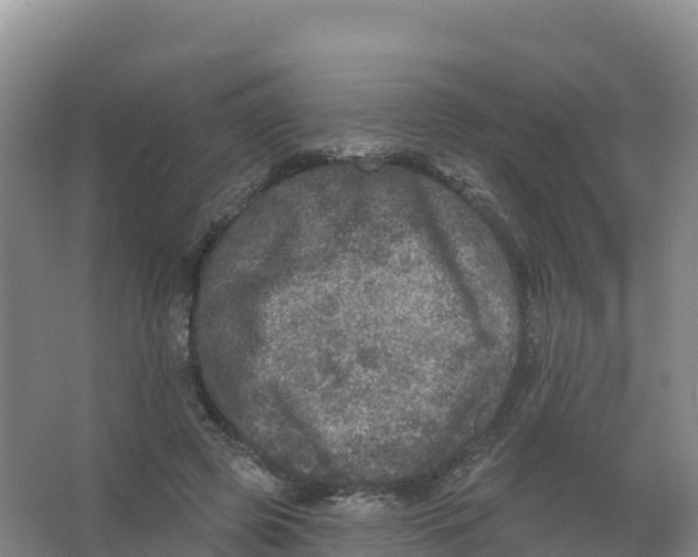 X0000066970545200604142143