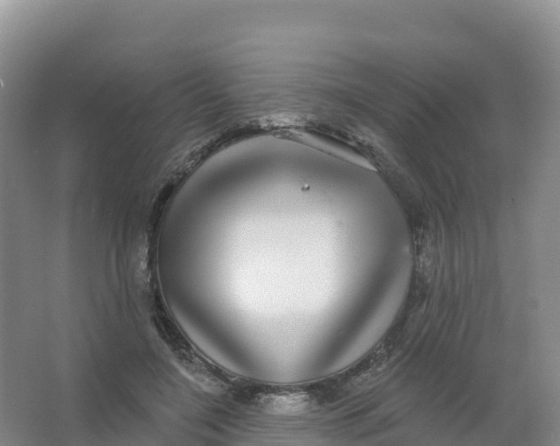 X0000066970548200604142143