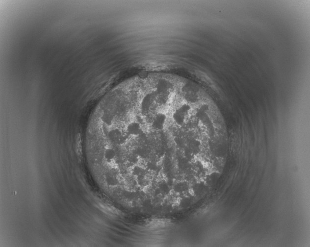 X0000066970549200604142143