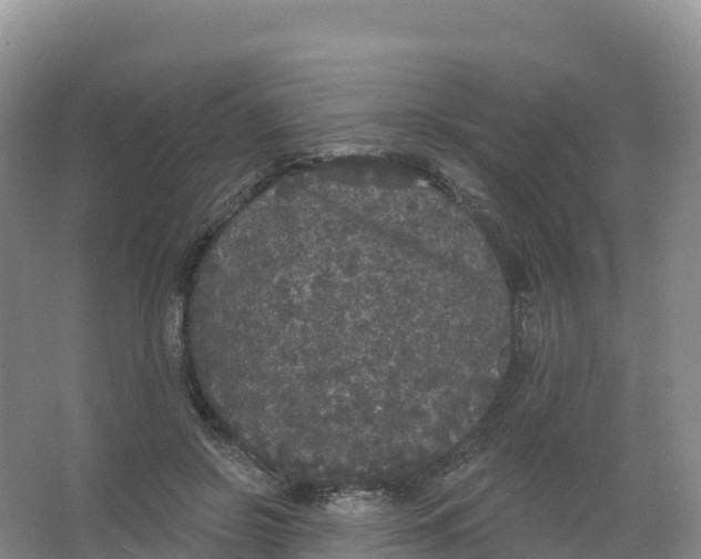 X0000066970550200604142143