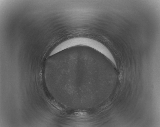 X0000066970552200604142143