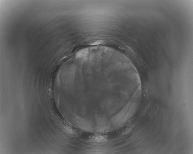 X0000066970553200604142143