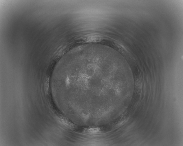 X0000066970554200604142143