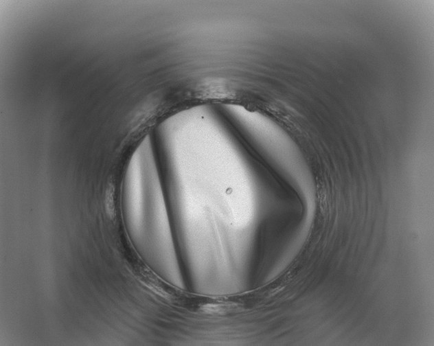 X0000066970556200604142143