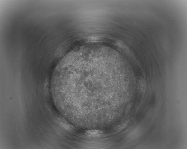 X0000066970557200604142143