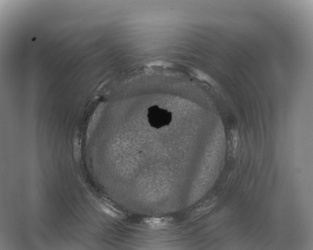 X0000066970558200604142144