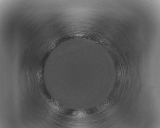 X0000066970559200604142144