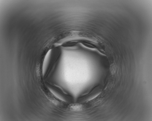 X0000066970560200604142144