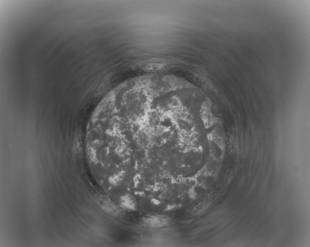 X0000066970561200604142144