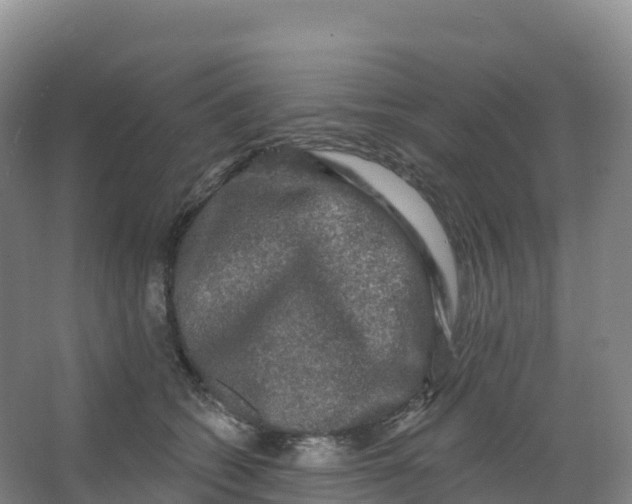 X0000066970562200604142144