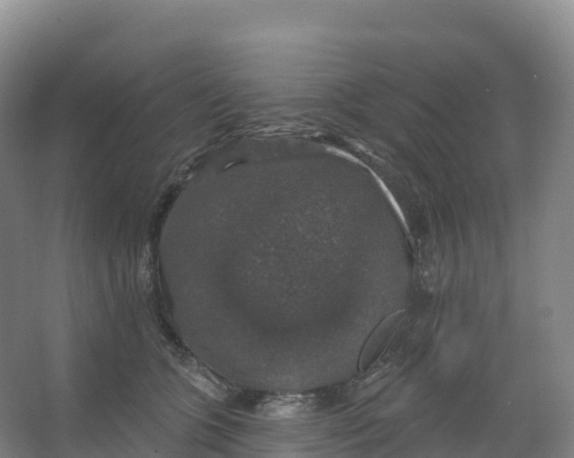 X0000066970563200604142144