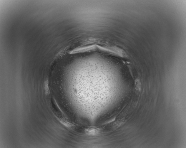 X0000066970564200604142144