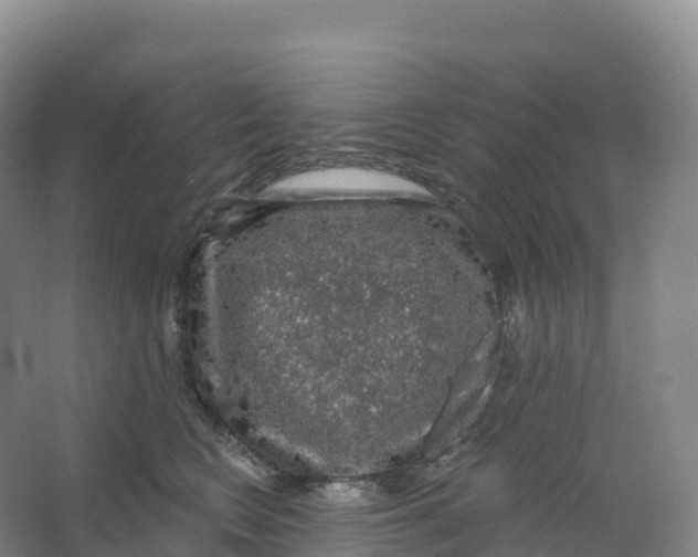 X0000066970566200604142144