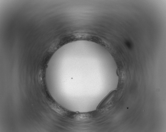 X0000066970567200604142144