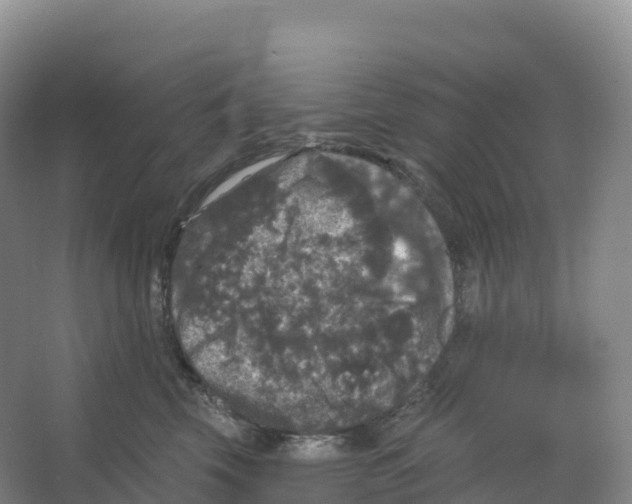 X0000066970569200604142144