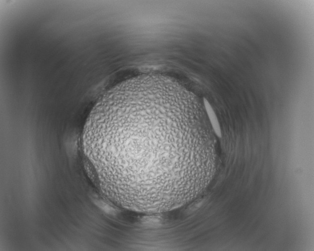 X0000066970574200604142144