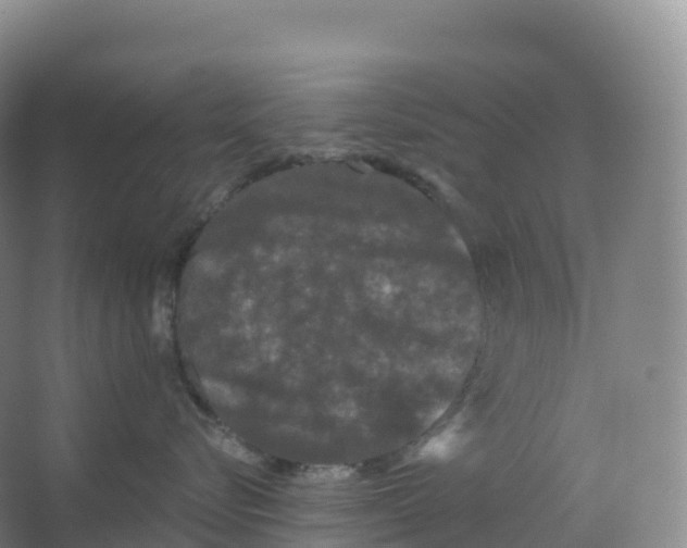 X0000066970576200604142144