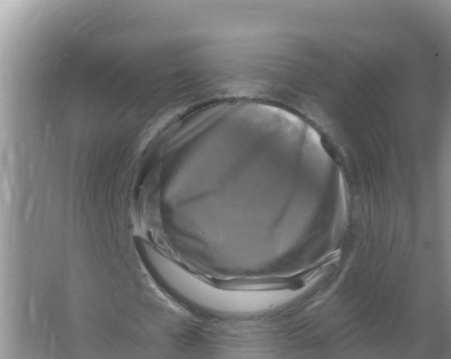 X0000066970577200604142143