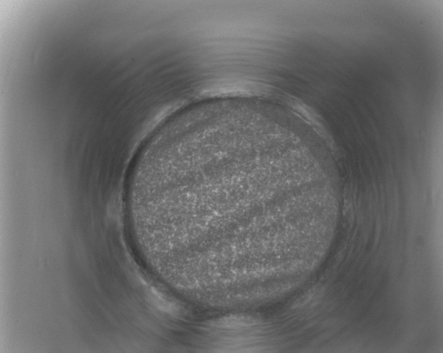 X0000066970578200604142143