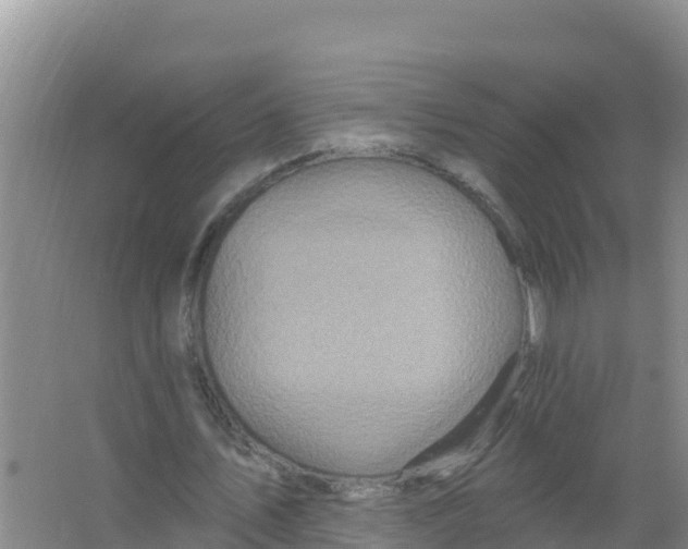 X0000066970579200604142143