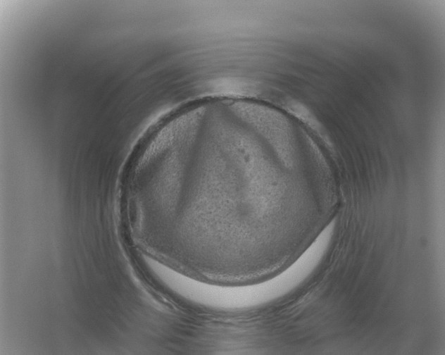 X0000066970580200604142143