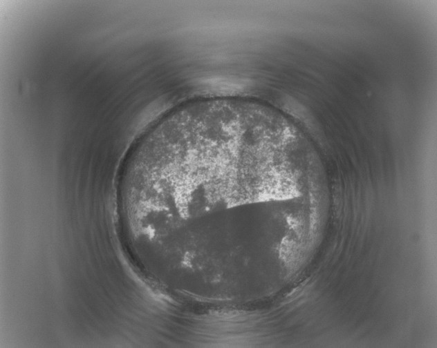 X0000066970582200604142143