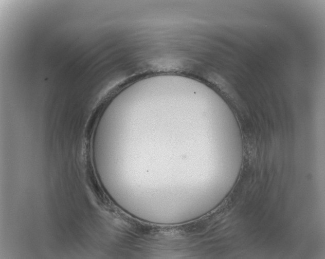 X0000066970583200604142143