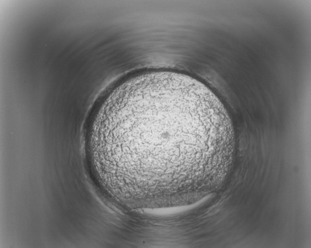 X0000066970584200604142143