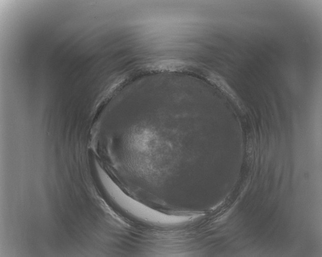 X0000066970585200604142143