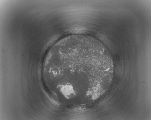 X0000066970586200604142143