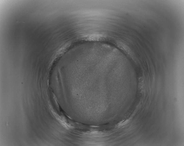 X0000066970589200604142143