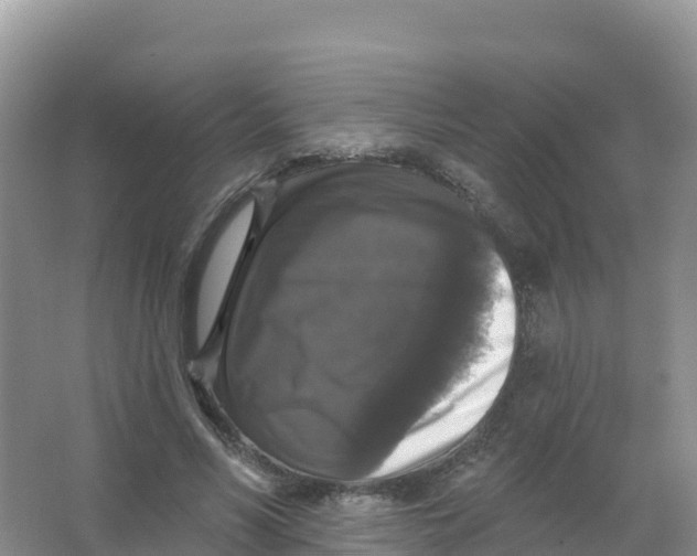 X0000066970590200604142143