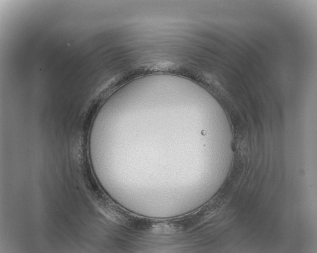 X0000066970591200604142143