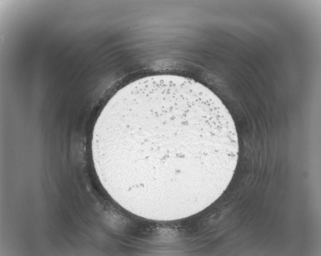 X0000066970592200604142143