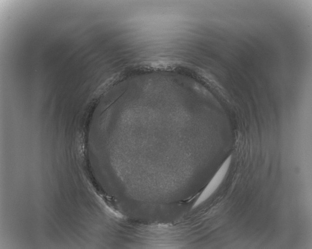 X0000066970593200604142143