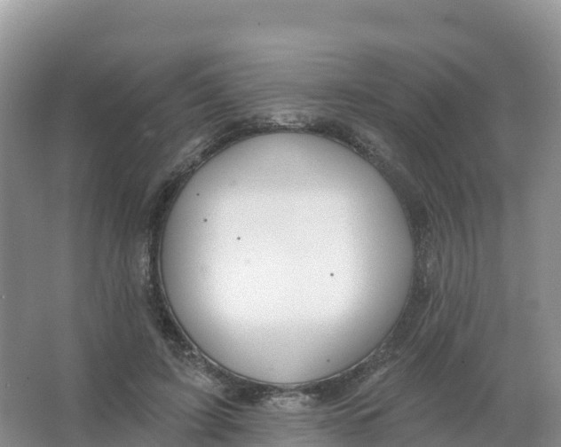 X0000066970595200604142143